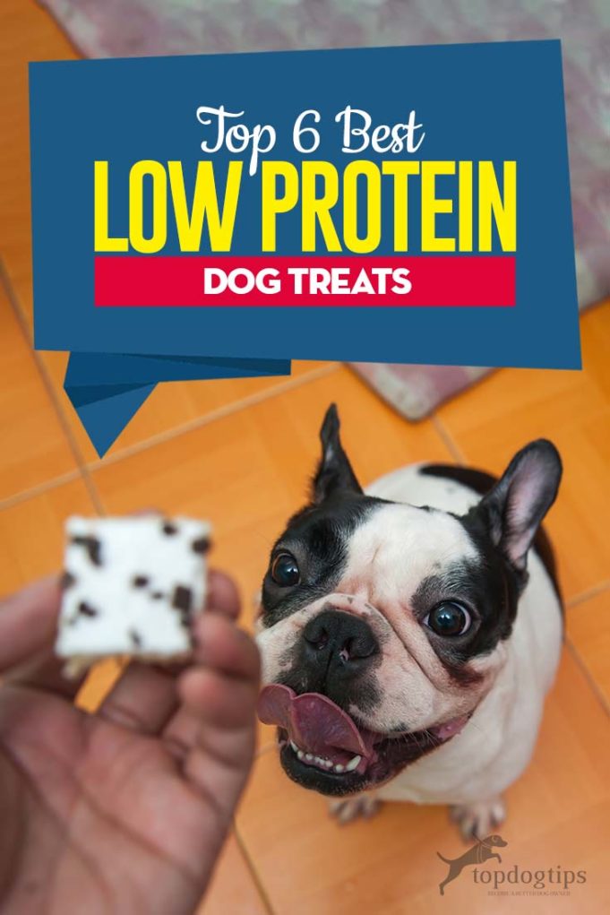 6 Best Low Protein Dog Treats for Kidney, Liver, Bladder Stones