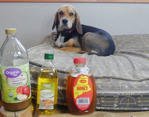 5 Best Dog Mange Home Remedies Effective on my Dog dog mange home remedies