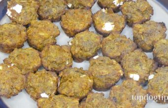 Recipe: Pumpkin Turmeric Dog Treats for Arthritis dog treats for arthritis