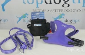 Giveaway: BAYDOG Harness, Leash and Treat Pouch ($65+ Value) Dog Walking Gear Giveaway