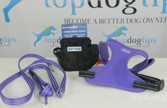 Giveaway: BAYDOG Harness, Leash and Treat Pouch ($65+ Value) Dog Walking Gear Giveaway