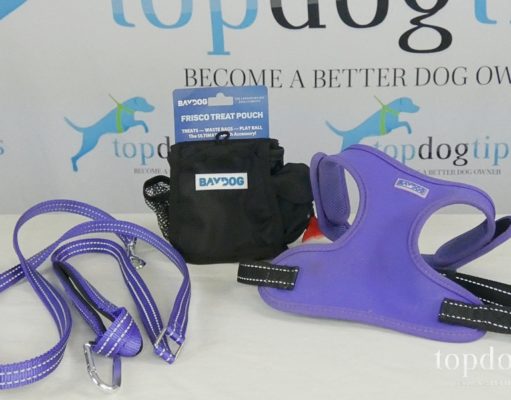 Giveaway: BAYDOG Harness, Leash and Treat Pouch ($65+ Value) Dog Walking Gear Giveaway