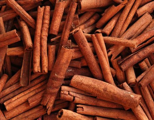 Cinnamon in Homemade Dog Food Recipes Cinnamon in Homemade Dog Food Recipes