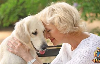 TOP #112: How Dogs Benefit Seniors How Dogs Benefit Seniors