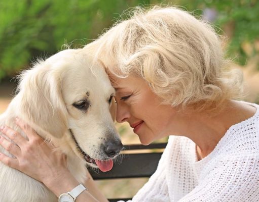 TOP #112: How Dogs Benefit Seniors How Dogs Benefit Seniors