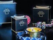 How Much Does It Cost to Cremate a Dog? How Much Does It Cost to Cremate a Dog