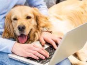 TOP #114: How to Turn Your Dreams Into a Successful Pet Business How to Turn Your Dreams Into a Successful Pet Business