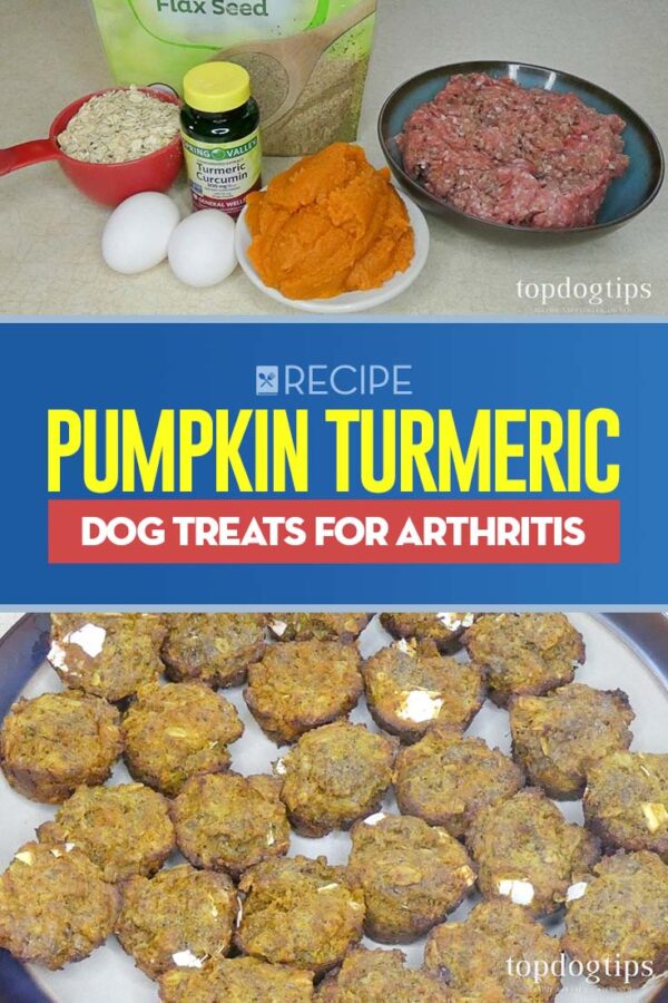 Homemade Pumpkin Turmeric Dog Treats for Arthritis Recipe