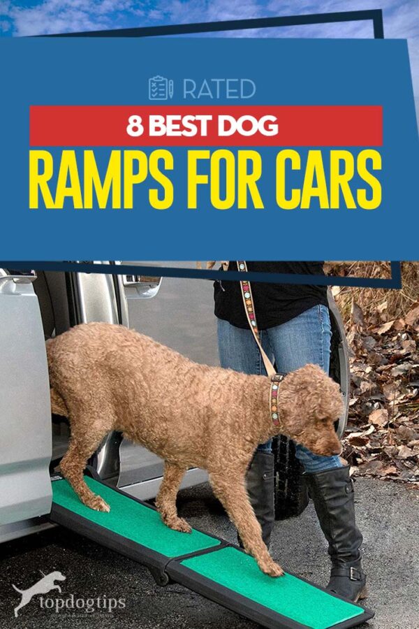 8 Best Dog Ramps for Cars and Dogs with Arthritis or Hip Dysplasia (2020)
