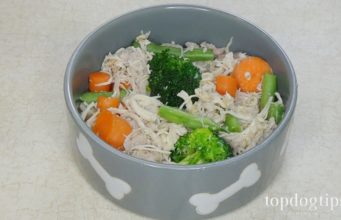 Recipe: Chicken Stew Food for Dogs with No Appetite food for dogs with no appetite
