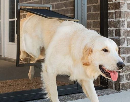 5 Best Storm Doors with Dog Doors 5 Best Storm Doors with Dog Doors