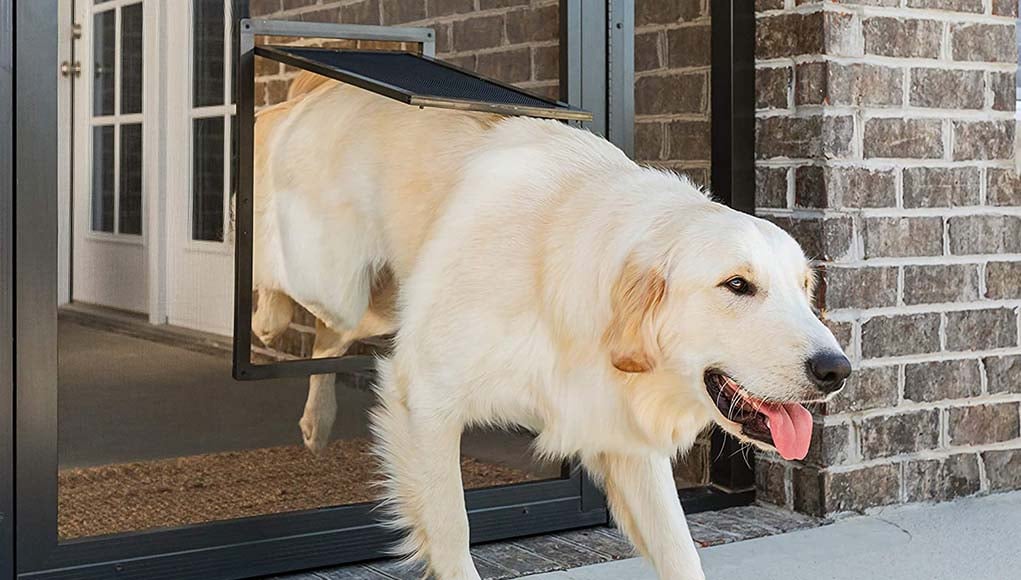 Storm doors with 2024 doggie doors in them