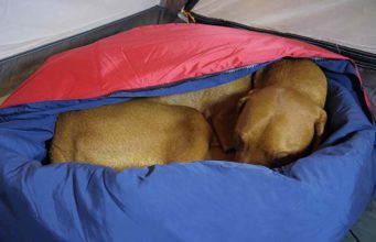 The Best Dog Sleeping Bags (Perfect for Travel, Camping, Hiking) Best Dog Sleeping Bags