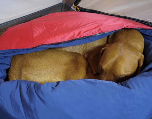 The Best Dog Sleeping Bags (Perfect for Travel, Camping, Hiking) Best Dog Sleeping Bags