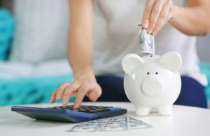 Where to Buy Cheap Dog Supplies During Coronavirus Pandemic? Cheap Dog Supplies