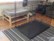 Review: Frisco XXL Dog Crate for Big Dogs Frisco XXL Dog Crate