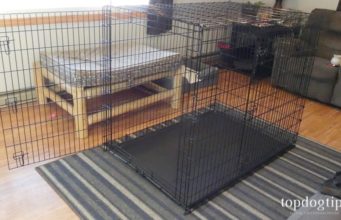Review: Frisco XXL Dog Crate for Big Dogs Frisco XXL Dog Crate