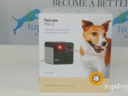 Review: Petcube Play 2 Dog Camera Petcube Play 2 giveaway