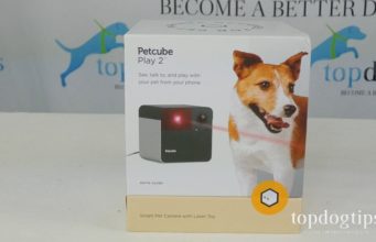 Review: Petcube Play 2 Dog Camera Petcube Play 2 giveaway