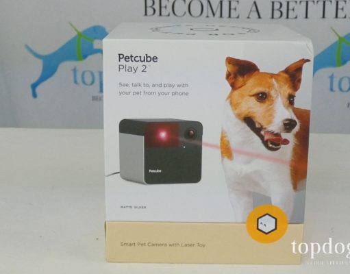 Review: Petcube Play 2 Dog Camera Petcube Play 2 giveaway
