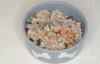 Recipe: Slow Cooker Beef Stew for Dogs food for dogs with digestive problems