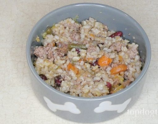 Recipe: Slow Cooker Beef Stew for Dogs food for dogs with digestive problems