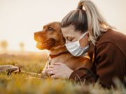 6 Tips to Keep Dogs Safe During COVID-19 Pandemic can dogs catch covid