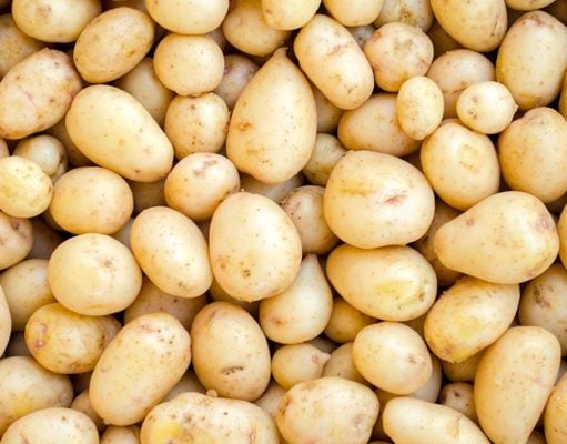 White Potatoes in Homemade Dog Food Recipes White Potatoes in Homemade Dog Food Recipes