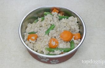 Recipe: Homemade Food for Diabetic Dogs Homemade food for diabetic dogs recipe