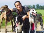 11 Things Dog Trainers Wish Owners Knew Pet owner with three dogs on a leash