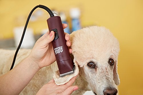 what are the best professional dog grooming clippers