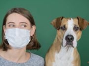 TOP #115: Can My Dog Contract Coronavirus? Can My Dog Contract Coronavirus (COVID-19) Podcast