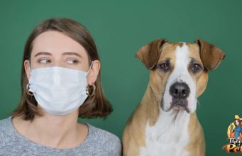 TOP #115: Can My Dog Contract Coronavirus? Can My Dog Contract Coronavirus (COVID-19) Podcast