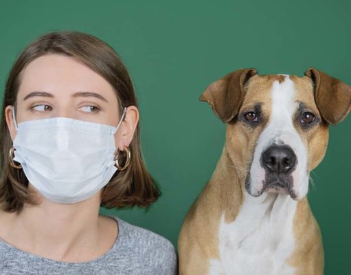 TOP #115: Can My Dog Contract Coronavirus? Can My Dog Contract Coronavirus (COVID-19) Podcast