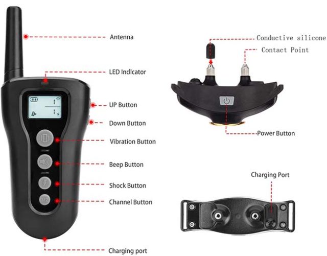 9 Best Electric Dog Collars of 2022 (Review and Top Picks)