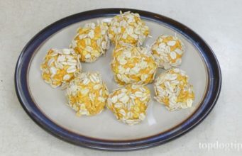 Recipe: Soft Dog Treats with Pumpkin Soft Dog Treats Recipe