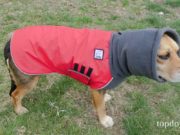 Review: Voyagers K9 Apparel Dog Coat Voyagers K9 Apparel Dog Coat