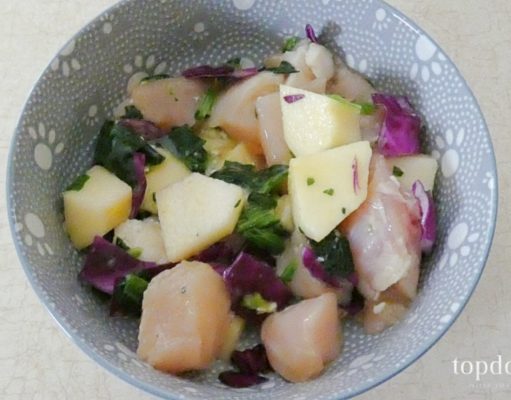 Homemade Easy Raw Dog Food Diet Recipes easy raw dog food diet