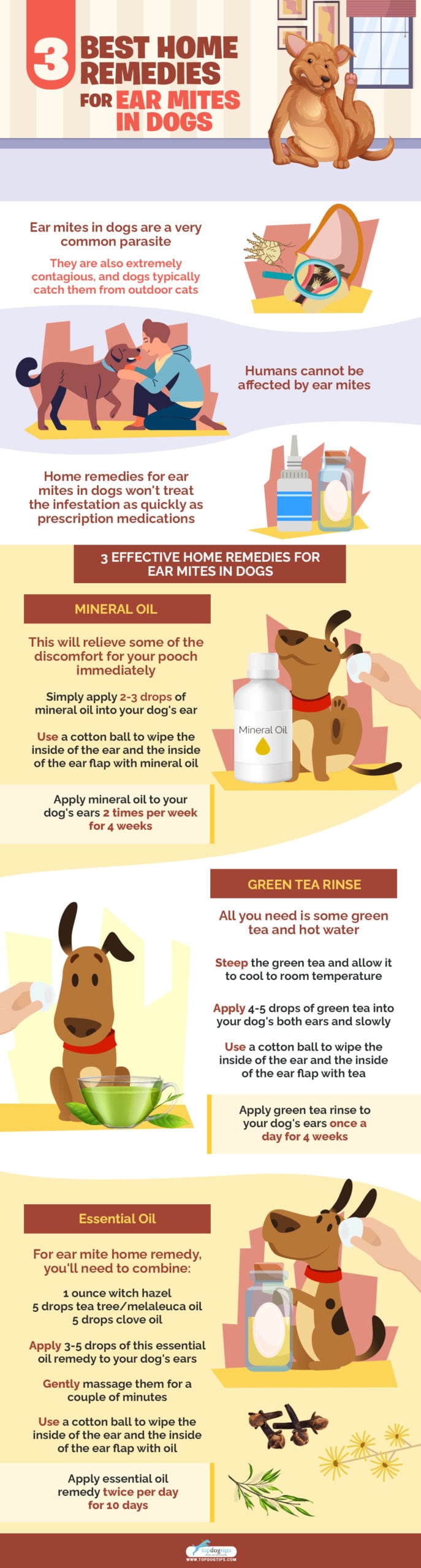 Image showcasing 3 Best Home Remedies for Ear Mites in Dogs and How to Make/Use Them