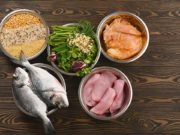 5 Reasons to Start Making Dog Food at Home 5 Reasons To Start Making Dog Food at Home