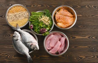 5 Reasons to Start Making Dog Food at Home 5 Reasons To Start Making Dog Food at Home