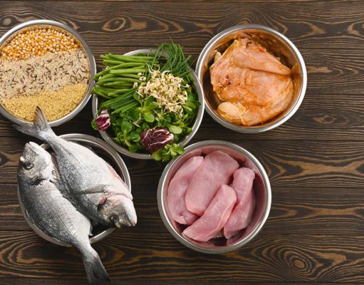 5 Reasons to Start Making Dog Food at Home 5 Reasons To Start Making Dog Food at Home