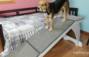 Review: PetSafe CozyUp Bed Ramp for Dogs PetSafe CozyUp Bed Ramp