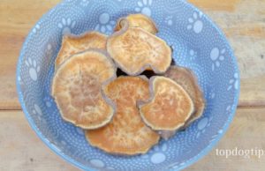 Recipe: Sweet Potato Dog Treats sweet potato dog treats recipe image