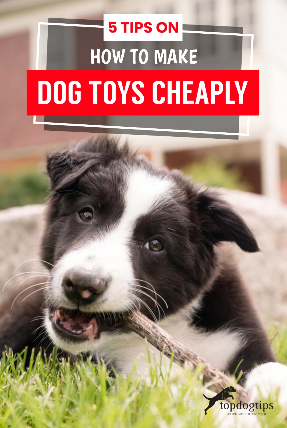 How to Make Dog Toys Cheaply 5 EasytoMake DIY Dog Toys