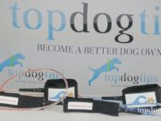 Giveaway: Coastal Hound Surf Dog Leash ($50+ Value) Coastal Hound Dog Leash Giveaway