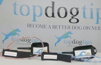 Review: Coastal Hound Dog Leash Coastal Hound Dog Leash Giveaway