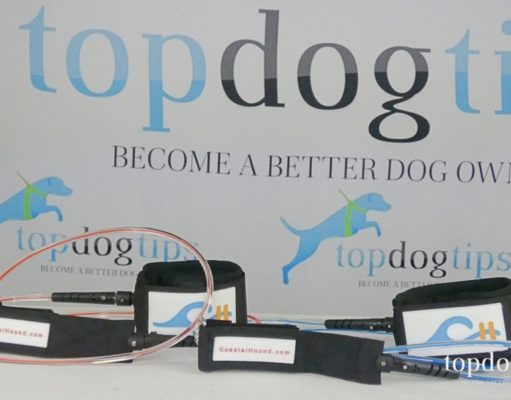 Review: Coastal Hound Dog Leash Coastal Hound Dog Leash Giveaway
