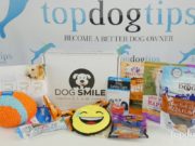 Review: Dog Smile Club Subscription Box Dog Smile Club Review