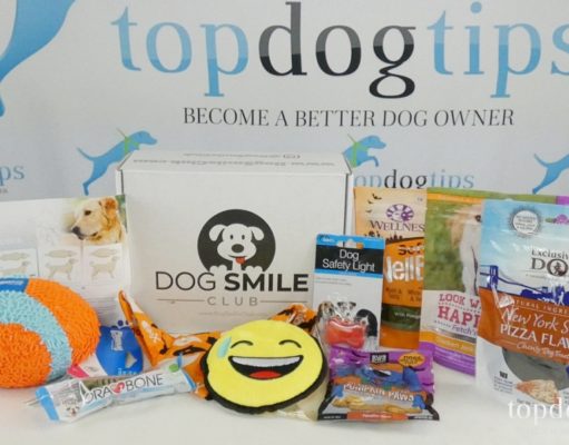 Review: Dog Smile Club Subscription Box Dog Smile Club Review